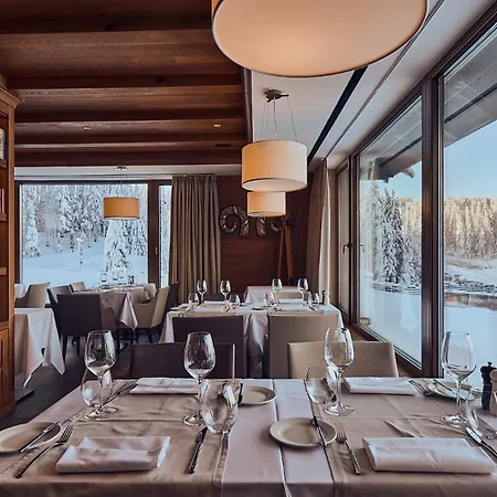 Hotel Grey Family 4*